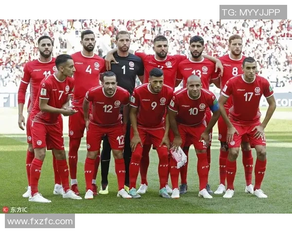 比利时与突尼斯世界杯精彩回放全景解析与比赛亮点回顾